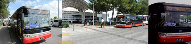 antalya havaalanı 600 numaralı belediye otobüsü