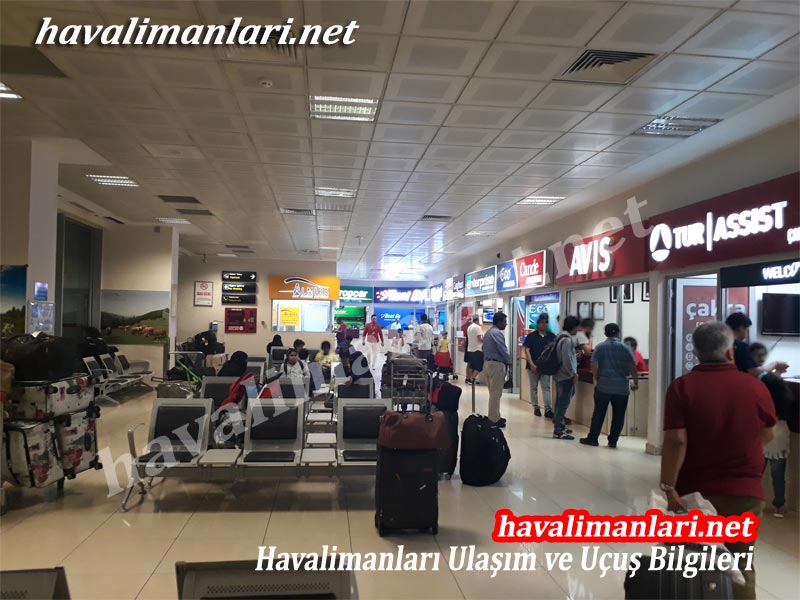 Trabzon Havalimanı Araç Kiralama Şirketleri