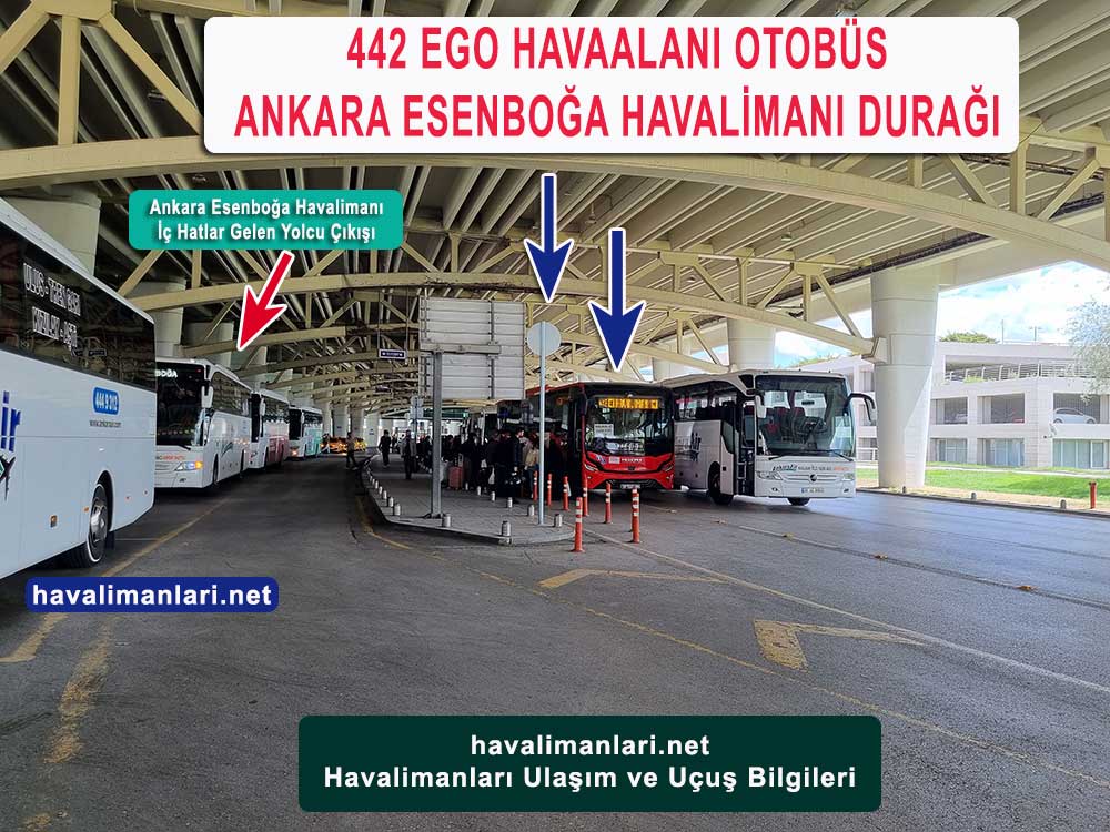 Ankara Esenboğa Havalimanı 442 EGO Otobüs Durağı