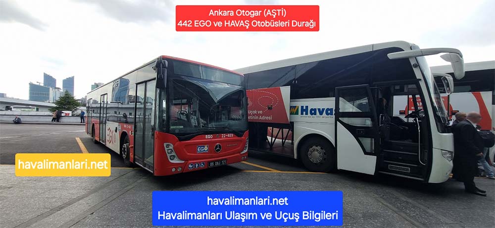 Ankara 442 EGO Otobüs ve Havaş Servisleri Otogar/Aşti Peron Ankara 442 EGO ve Havaş Otogar/Aşti Durağı
