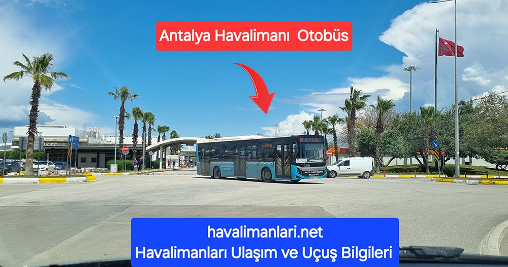 antalya havaalanı 600 numaralı belediye otobüsü