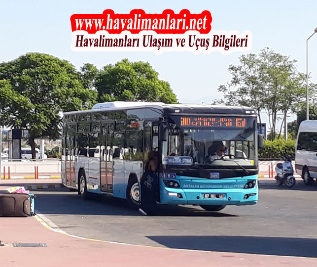Antalya Büyükşehir Belediyesi 600 - 800 Otobüs