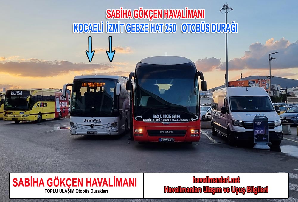 İstanbul Sabiha Gökçen Havalimanı izmit kocaeli Otobüs