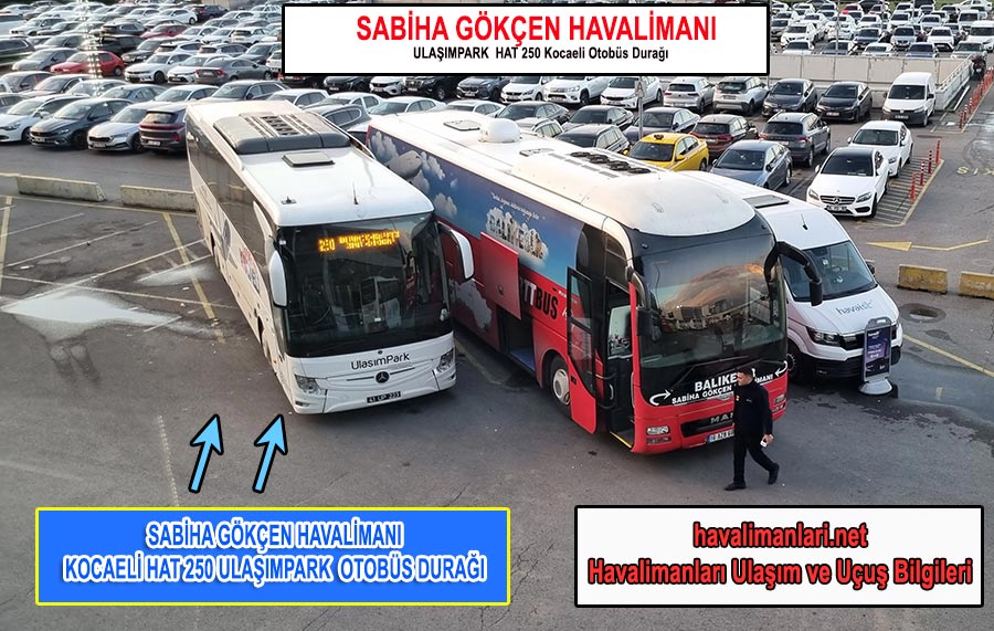 İstanbul Sabiha Gökçen Havalimanı izmit kocaeli Otobüs